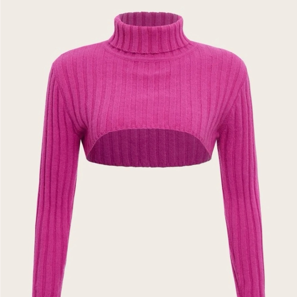Crop Turtleneck